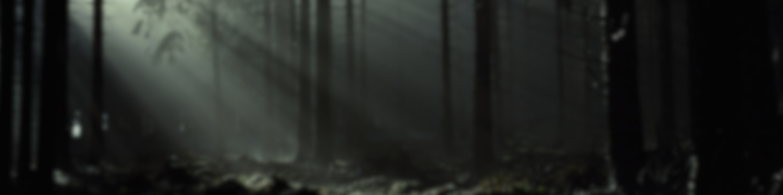 RUM Banner 3